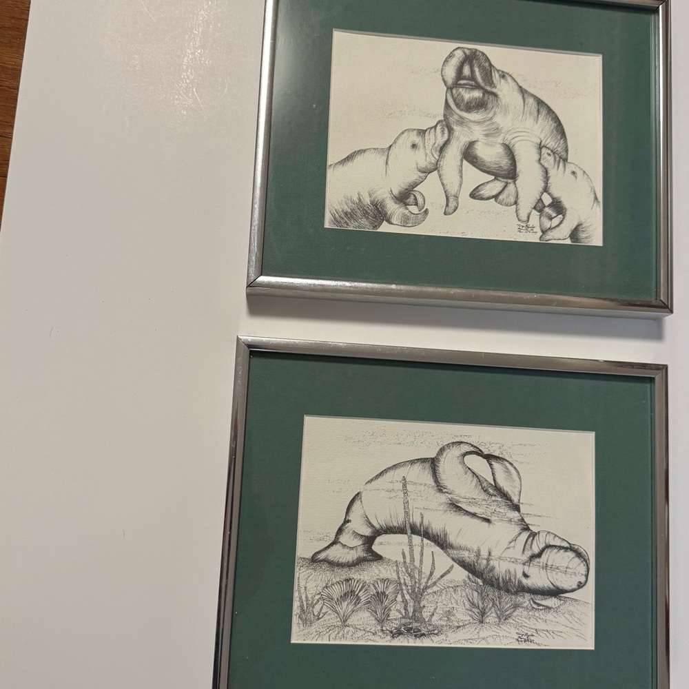 Framed Pair of Prints of Manatee Sketches by Tony Ryan’s Mouth Painter